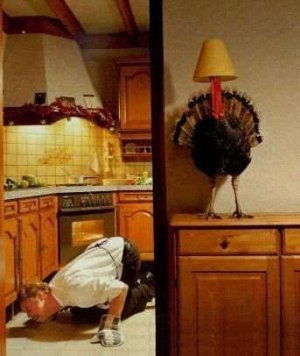 turkey funny 60.jpg