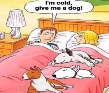 givemedog.jpg