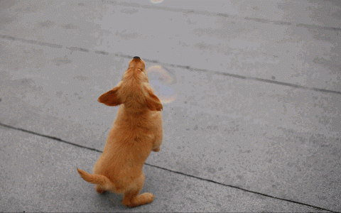 5DDuKz4.gif