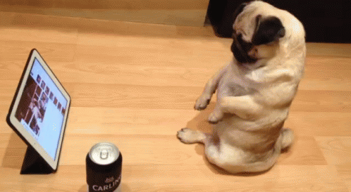 18eeb799854872e7cc11fda45d13ceb5.gif