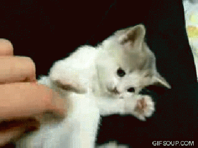 cbf457dc36419b429d1c1b558814d293.gif
