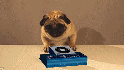 ee1933afc5a393c5361d9bc2089ab80d.gif