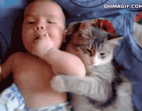 fb77102df83dd93a2d9780d2ecb3ce46.gif
