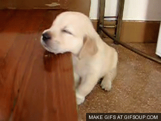 original.gif
