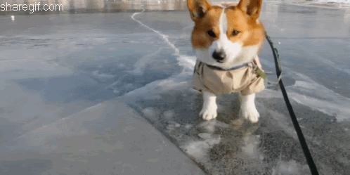 unnamed.gif