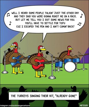 turkey funny 64.jpg
