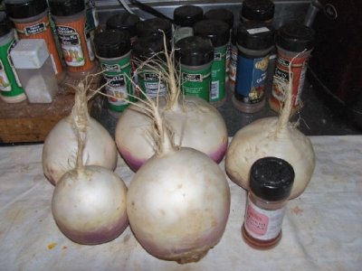 turnips.jpg