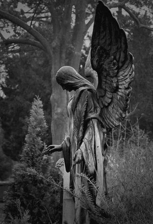 angel 008.jpg