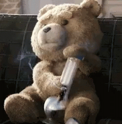 bear and smoking.gif