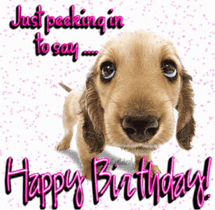 dog.gif