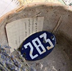 Number 283 @.jpg