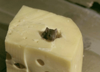 19046233b9542fa841e37c7372c56a9b.gif