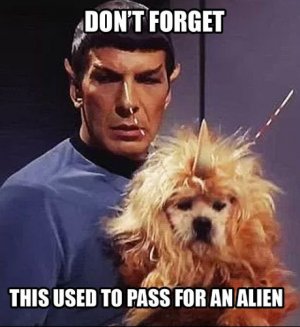 Star-Trek-Dont-Forget-Alien-Dog-Meme-e1521746850288.jpg