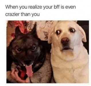 FB_IMG_16063552100761805.jpg
