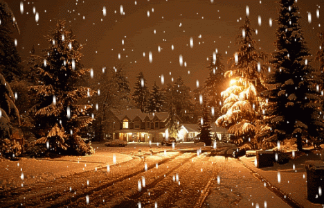 winter-snow-animated.gif