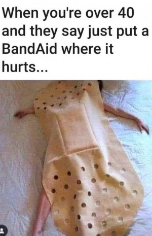 FB_IMG_16064560360289987.jpg