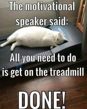 FB_IMG_16064559569238036.jpg