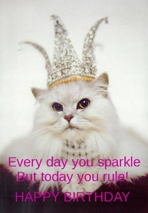 50 Funny Happy Birthday Quotes & Wishes For Best Friends.jpeg