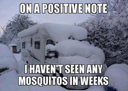 winter funnies 8.jpg