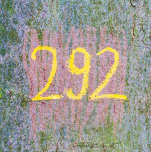 Number 292 @.jpg