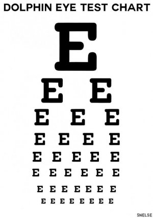 5ece1538ec176-Dolphin_Eye_Chart-5ec781801a6b2-png__880.jpg