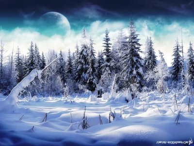 winter-wonderland-1600x1200.JPG
