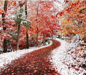 autumnsnow.gif