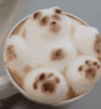 7b69b69e94d0a907fe5458e544875b85_w200.gif
