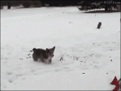 1606721473704.gif