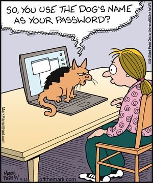 cat9.jpg