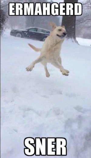 winter funnies 12.jpg
