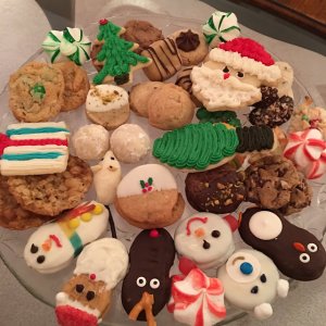 2017 fourteen cookies.jpg