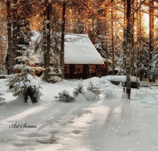 cabin.gif
