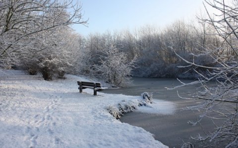 ws_Winter_art_3_2560x1600.jpg