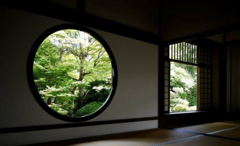 window morn david fitzgerald.jpg