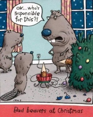 beaverxmastree.jpg