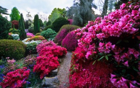 Gorgeous Garden.jpg