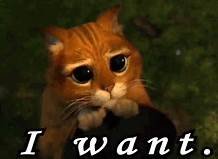 cat want.jpg