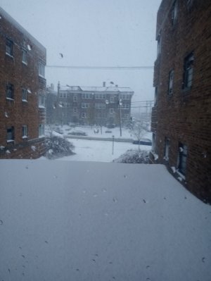 firstsnow202022.jpg