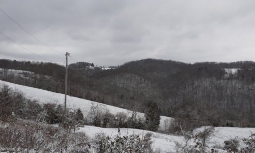 snow1.jpg