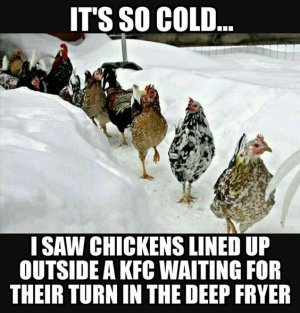 ea3dc3535b0cf56f75ea6a1257f3e9bf[1].jpg