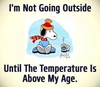 2e2257b3b901386119aec66071258672[1].jpg