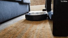 RealLinedLiger-max-1mb.gif