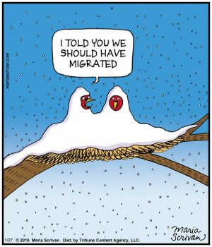 March funnies 12.jpg