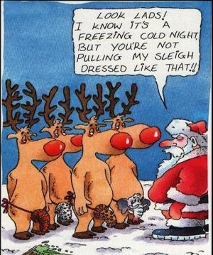 funny-christmas-card-photos.jpg