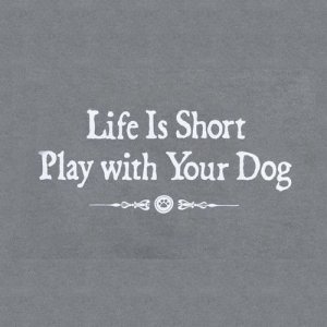 little-shelter-animal-rescue.jpeg