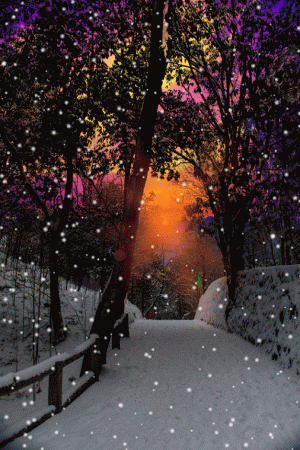 4e8c53ddcf69b55d0d238f5a6273f019.gif