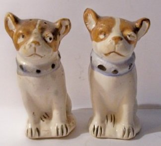 boston terrier shakers1.jpg
