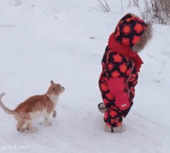 catandkid-2.gif