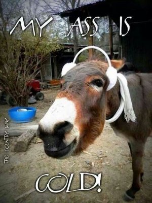 March funnies 13.jpg